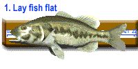 Lay fish flat on ruler.