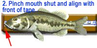 close fish's mouth.